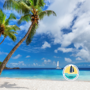 a beach with palm trees and a body of water