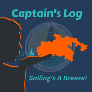 Go sail VI captain's log