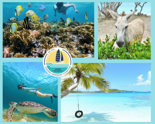 Why Choose Go Sail Virgin Islands VI